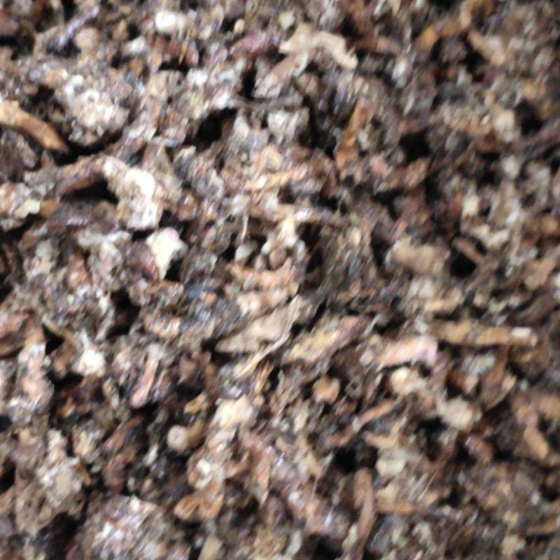 《款冬花》产地一手货源，规格齐全，量大优惠！