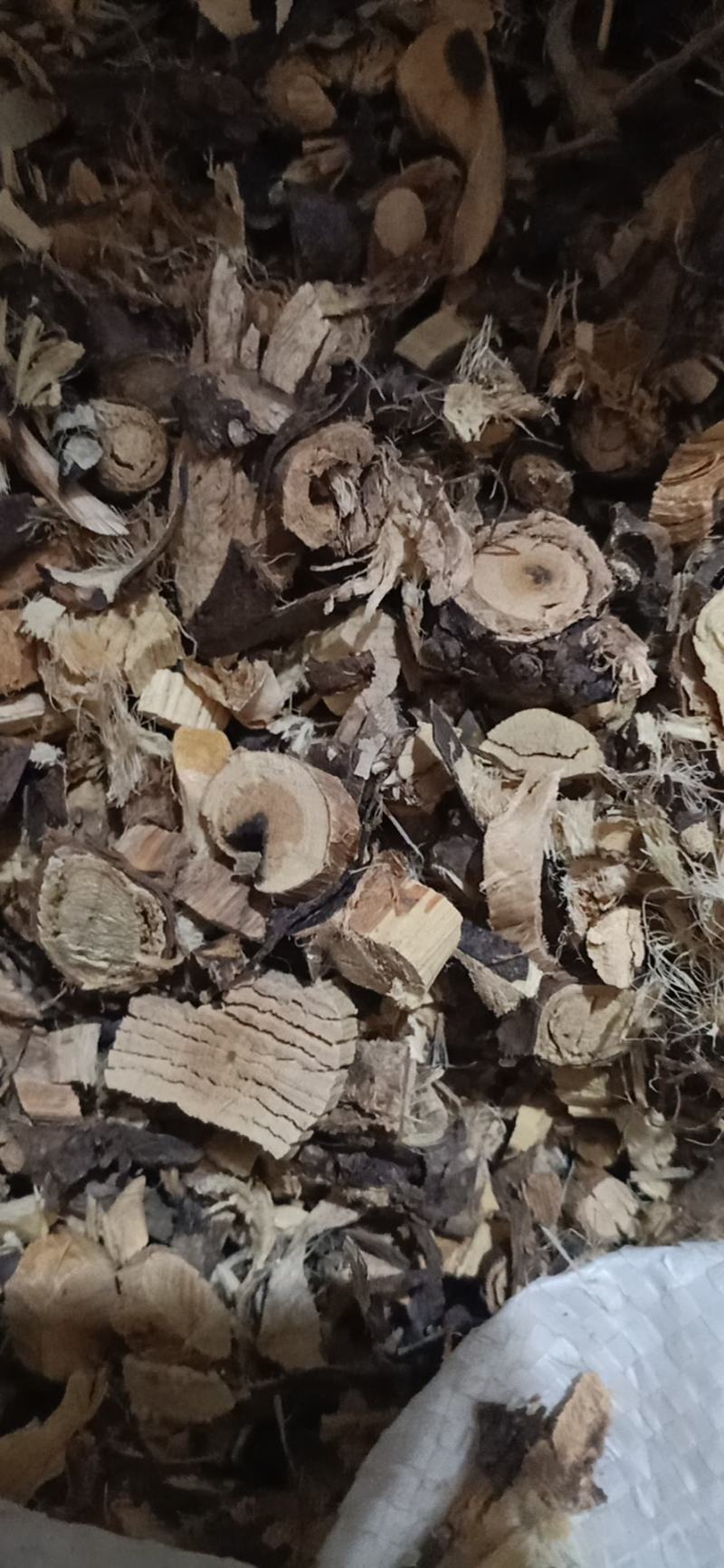 金雀根，金鸡儿根切片干净无杂质量保证！
