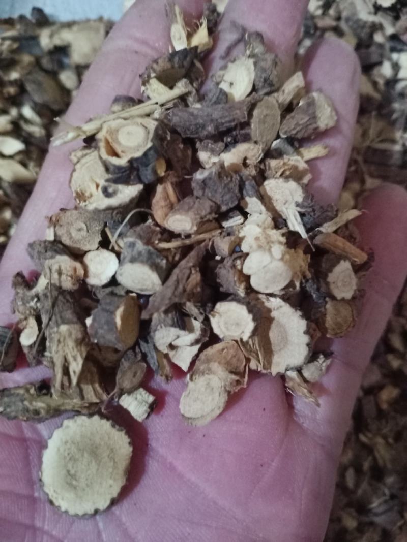 金雀根，金鸡儿根切片干净无杂质量保证！