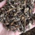 《款冬花》产地一手货源，规格齐全，量大优惠！