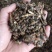 《款冬花》产地一手货源，规格齐全，量大优惠！
