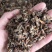 《款冬花》产地一手货源，规格齐全，量大优惠！