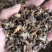 《款冬花》产地一手货源，规格齐全，量大优惠！