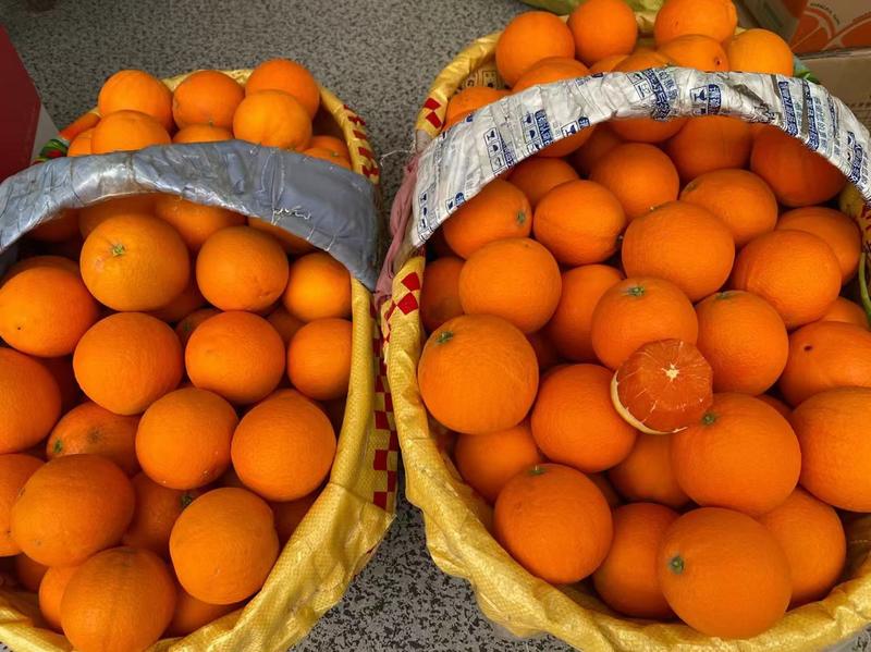 湖北秭归中华红血橙挂树鲜果皮薄汁多对接电商市场社区团购