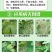 荣邦70%烯酰吗啉.霜脲氰干悬浮农药霜霉病杀菌剂