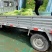 河南中牟产地26年新鲜红帽蒜苔大量上市代发全国