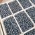 预售2023年5月中旬蓝莓5万斤，品种奥尼尔薄雾