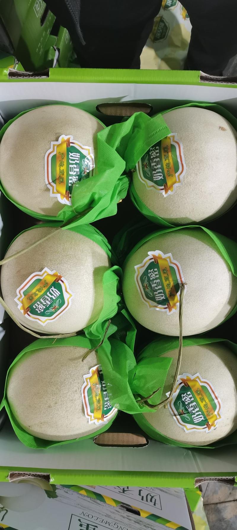 【实力】海南玉菇甜瓜-可供应商超-量大从优-保质保量
