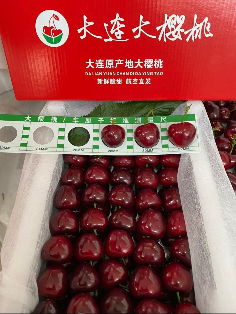 【精品】大连美早大樱桃，基地直发，新春第一口，量大从优！