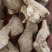 干姜干姜个干姜片大量现货再售要的私聊
