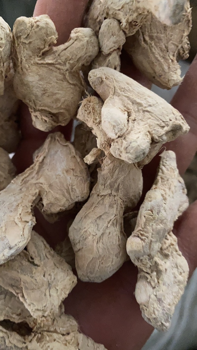 干姜干姜个干姜片大量现货再售要的私聊