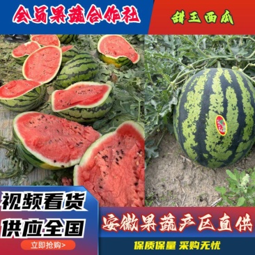 甜王西瓜精品甜王西瓜市场商超电商供货产地直代收代发