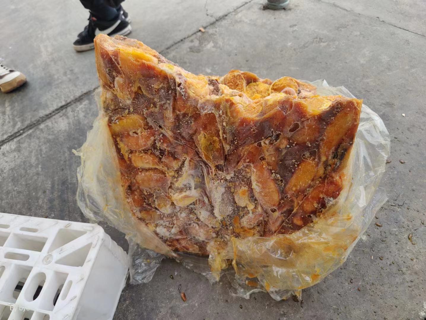 实验室胆红素提纯过程