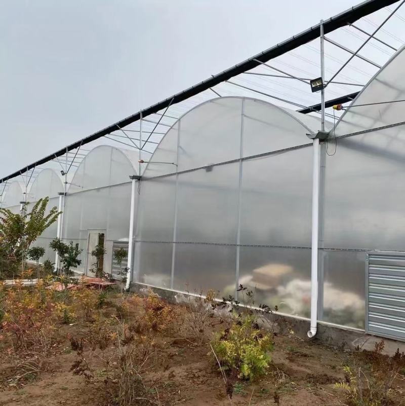 天津温室厂家直销大棚骨架温室大棚货源充足