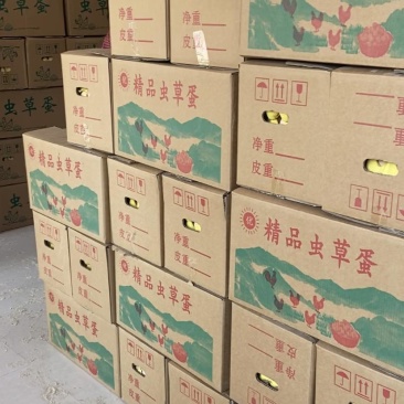 高品质粉蛋，双色，无脏蛋，破蛋，可整车对接发货