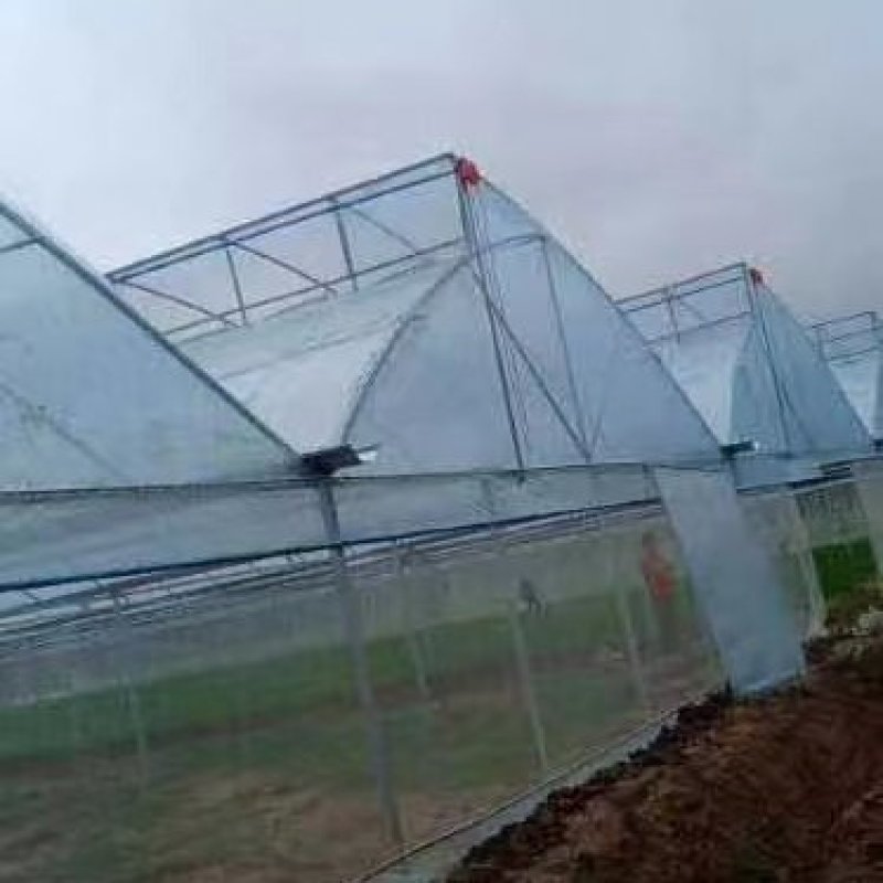 天津温室厂家直销锯齿连栋大棚大棚货源充足
