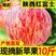 【精选红富士苹果脆甜】多汁水果当季洛川苹果10斤一件