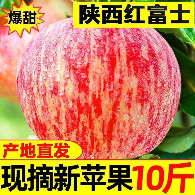 【精选红富士苹果脆甜】多汁水果当季洛川苹果10斤一件