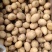 正宗恩施小土豆包粉包糯规格齐全，产地代发全国，质量保证！