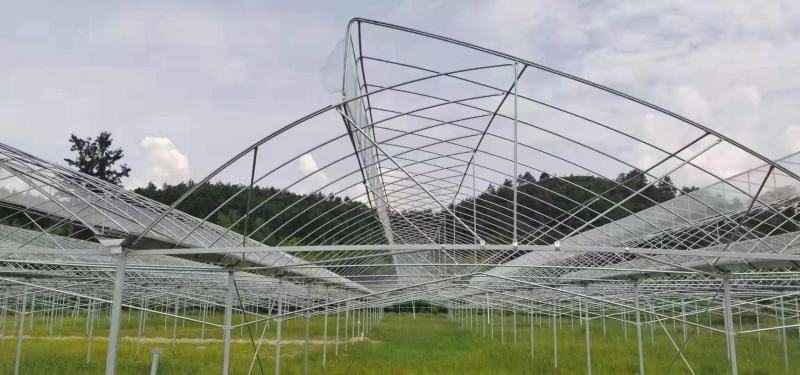 天津温室厂家直销锯齿连栋大棚大棚货源充足