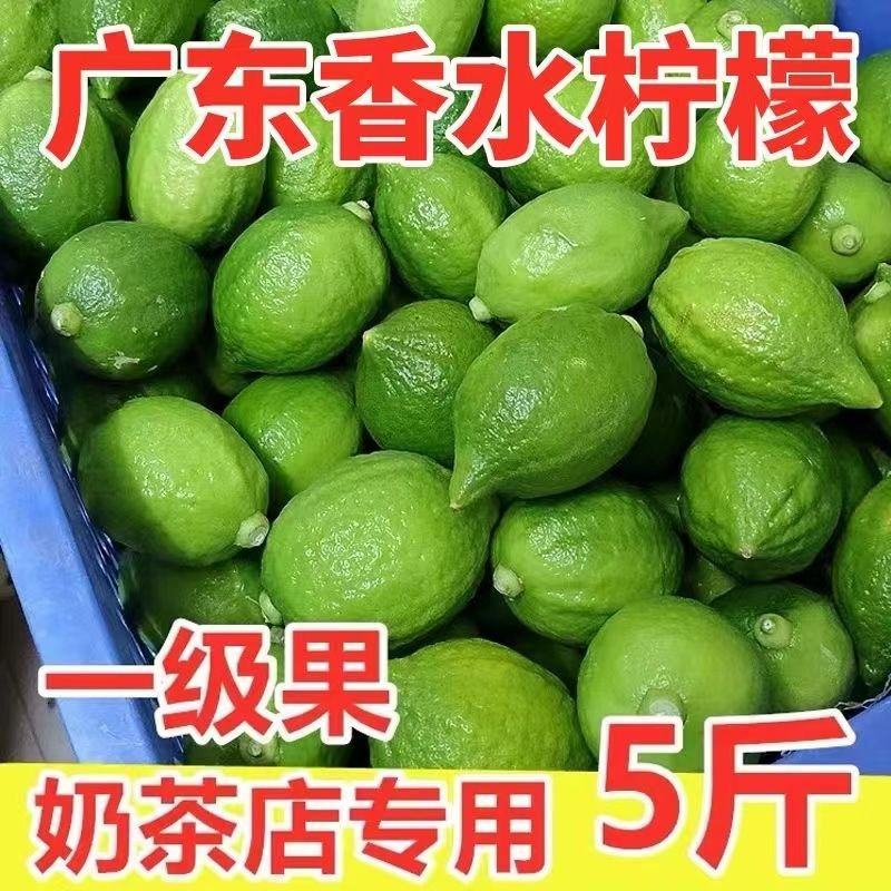 【果园直发】无籽广东香水柠檬四季广东无籽香水柠檬
