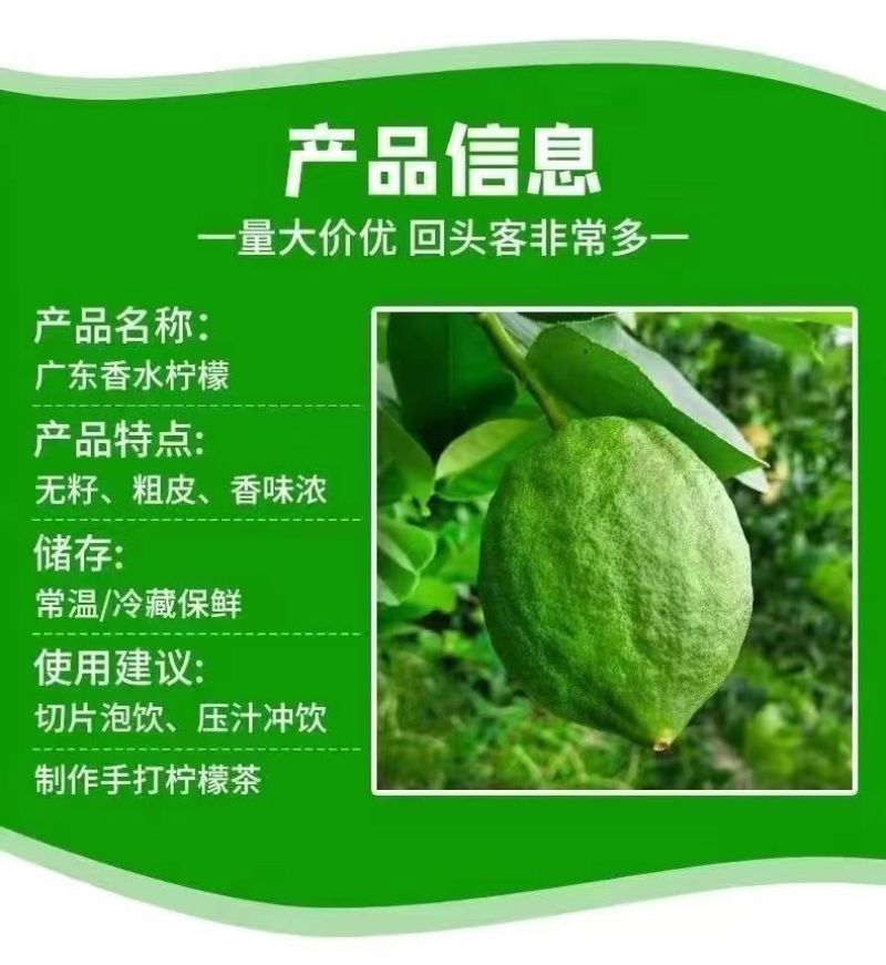 【果园直发】无籽广东香水柠檬四季广东无籽香水柠檬