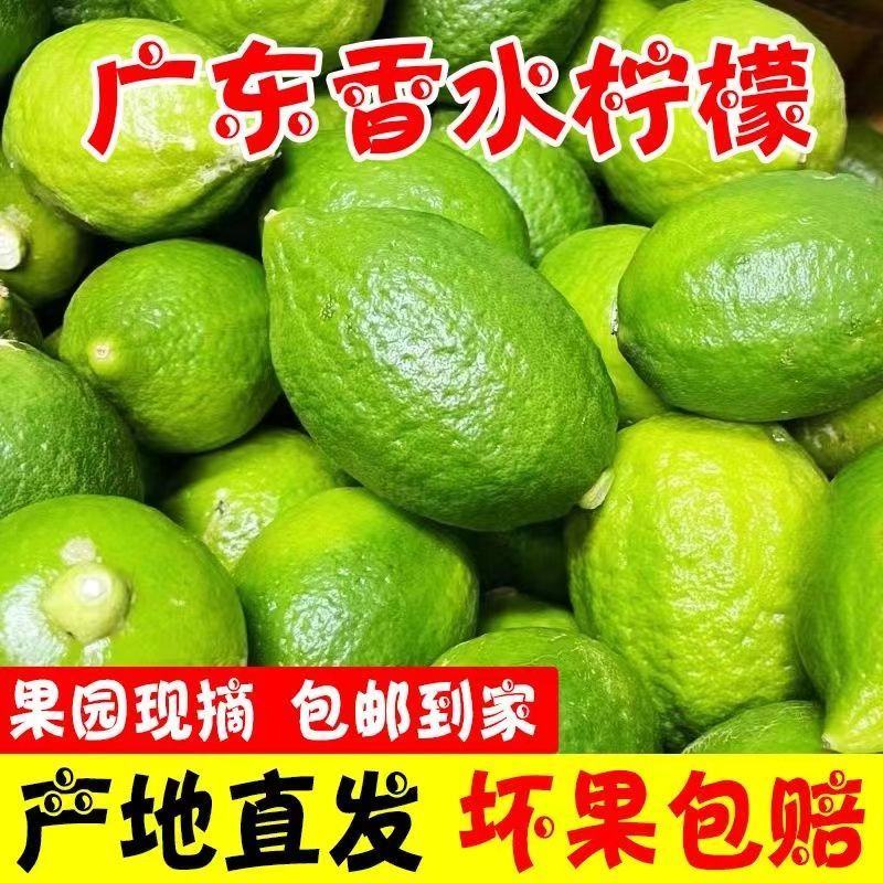 【果园直发】无籽广东香水柠檬四季广东无籽香水柠檬