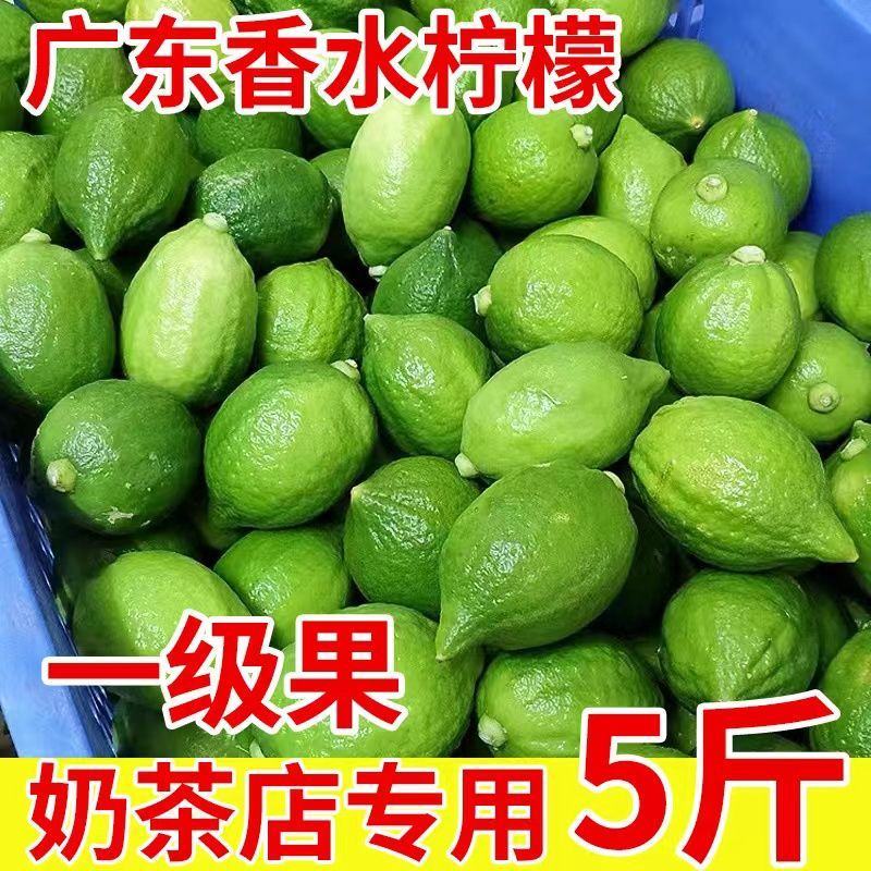 【果园直发】无籽广东香水柠檬四季广东无籽香水柠檬