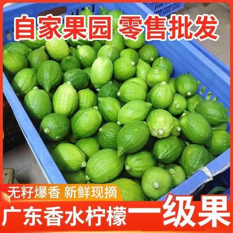 【果园直发】无籽广东香水柠檬四季广东无籽香水柠檬