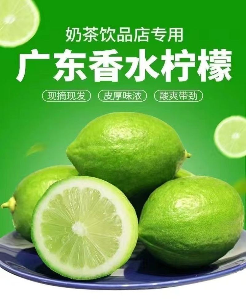 【果园直发】无籽广东香水柠檬四季广东无籽香水柠檬