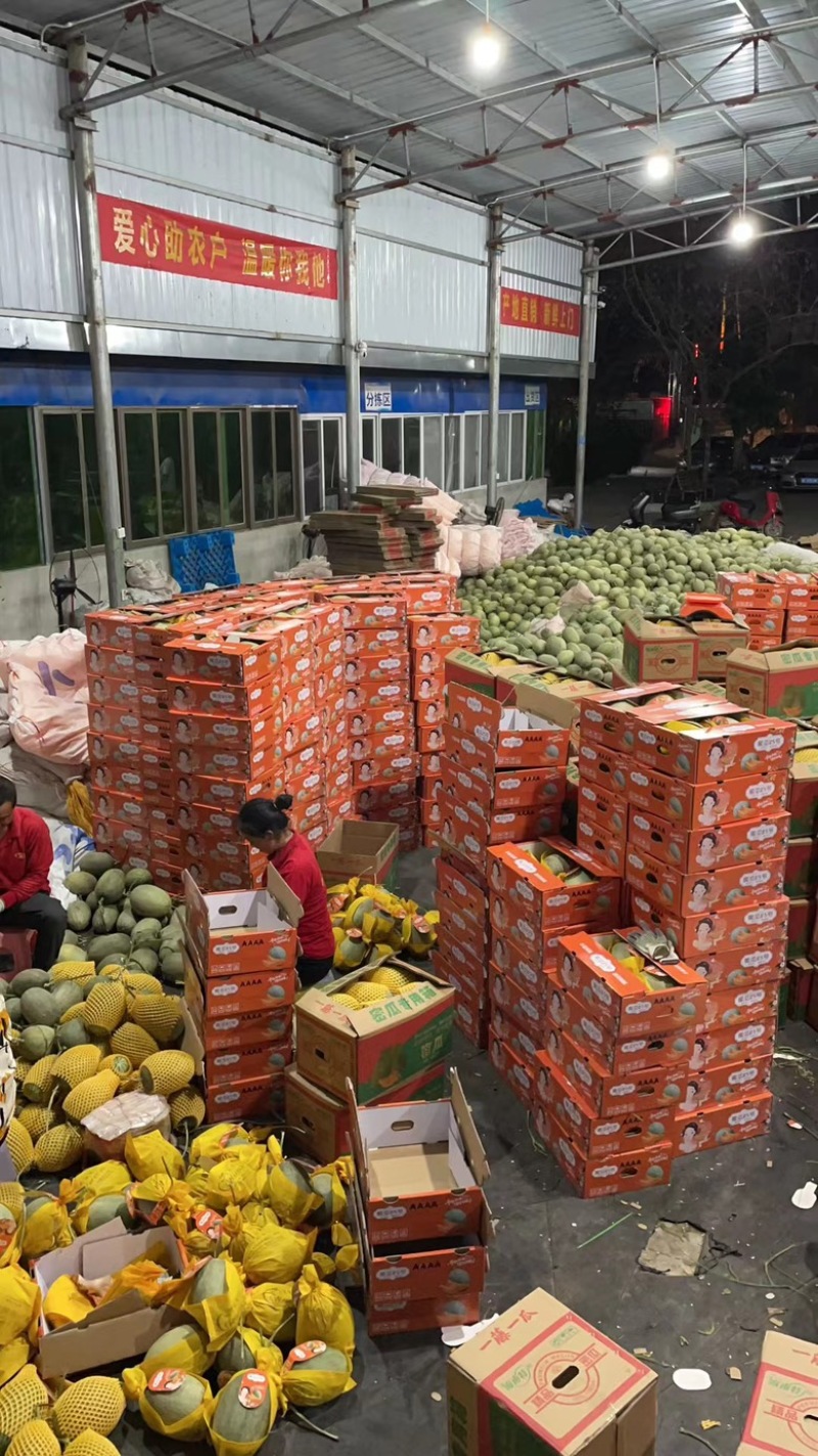 标价为实价海南小蜜25号哈密瓜产地直发大量有货价格优惠