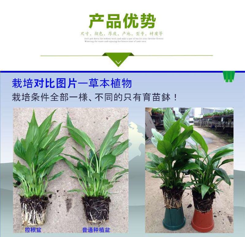 小号厂家直销加厚塑料花盆加仑盆绿植多肉盆家用绿萝大号兰花