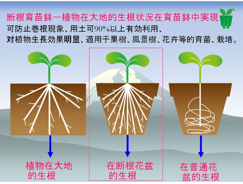 小号厂家直销加厚塑料花盆加仑盆绿植多肉盆家用绿萝大号兰花