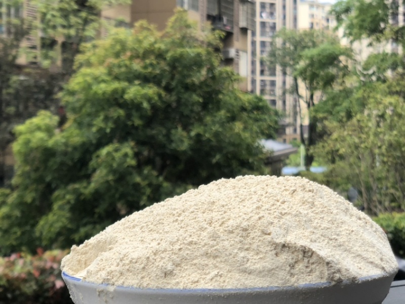 竹荪纯粉