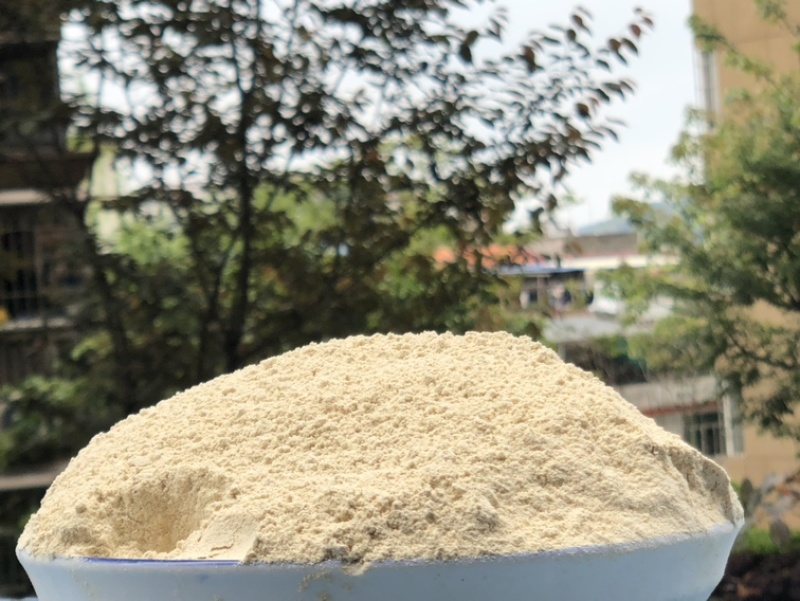 竹荪纯粉