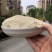 竹荪纯粉