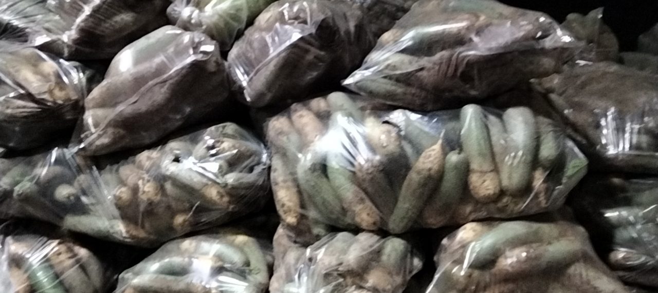 青萝卜正确储存方式示意图