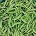 新野县春季豌豆荚大量上市中，可供市场和商超电商！