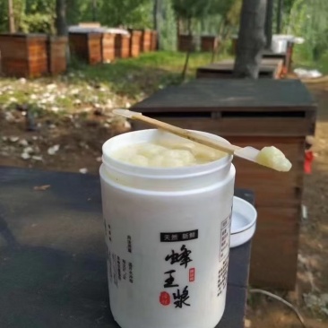 长白山椴树蜂王浆，自家蜂场，保正品质，诚信经营，