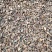 大量供应野生橡子仁，米橡折子，青岗仁脱壳高淀粉