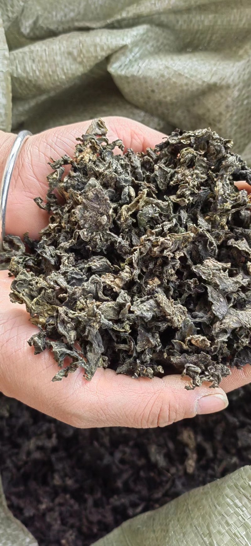 专业做地皮菜，又名地衣，地软，批发，1斤泡10斤