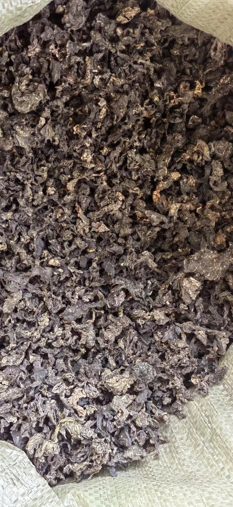 专业做地皮菜，又名地衣，地软，批发，1斤泡10斤