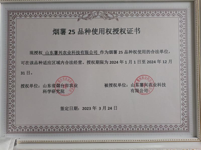 农科院授权单位脱毒原种红薯苗西瓜红苗龙九苗烟薯苗蜜薯苗