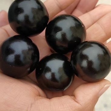 嘉宝果大果
