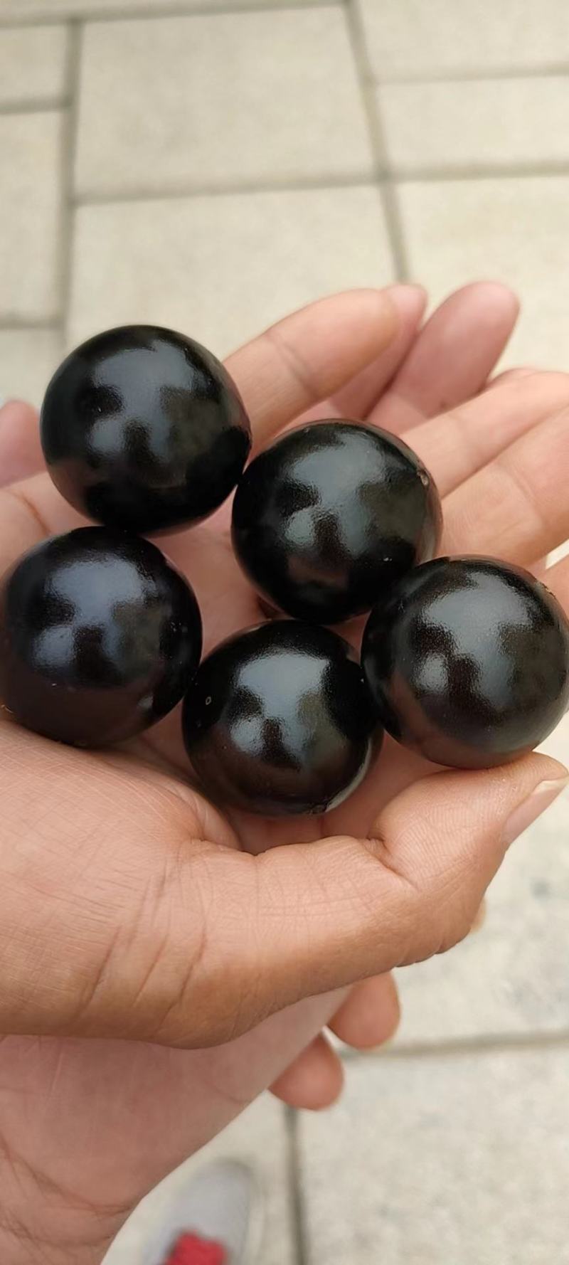 嘉宝果大果