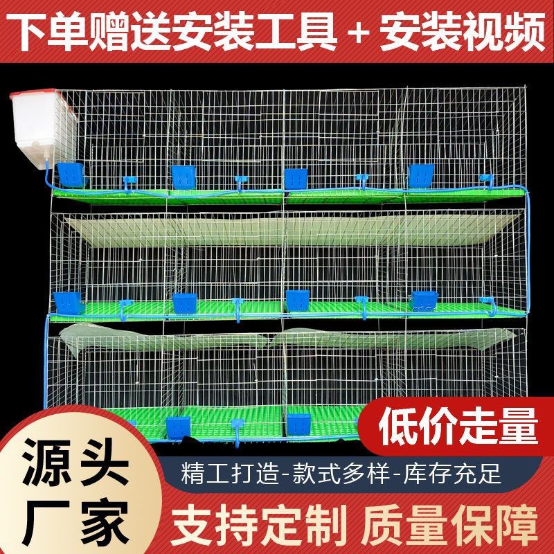 兔笼子家用大号专业肉兔养殖龙自动清粪养兔子专用新型式兔子