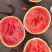 精品广西甜王西瓜🍉产地直发🍉品质保证🍉诚信第一