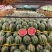 精品广西甜王西瓜🍉产地直发🍉品质保证🍉诚信第一