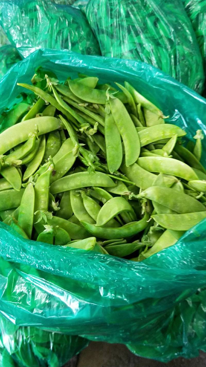 荷兰豆