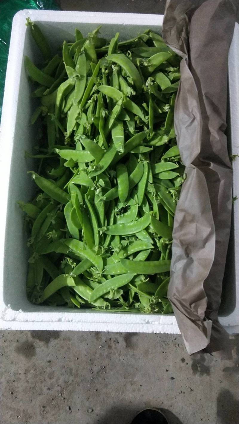 荷兰豆